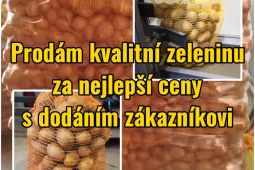 Prodám kvalitní zeleninu za nejlepší ceny s dodáním zákazníkovi